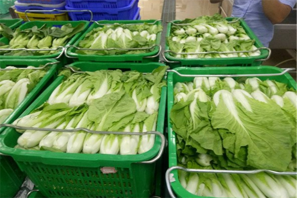 重庆蔬菜配送公司